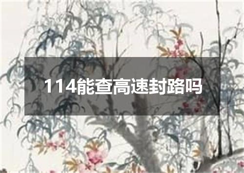 114能查高速封路吗