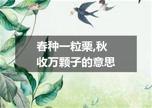春种一粒栗,秋收万颗子的意思