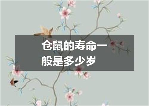 仓鼠的寿命一般是多少岁