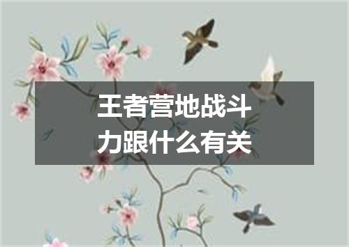 王者营地战斗力跟什么有关