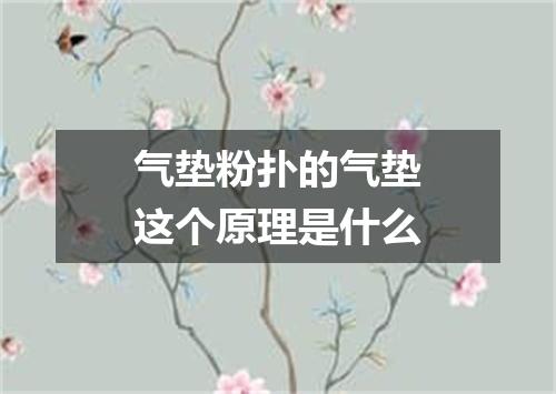 气垫粉扑的气垫这个原理是什么