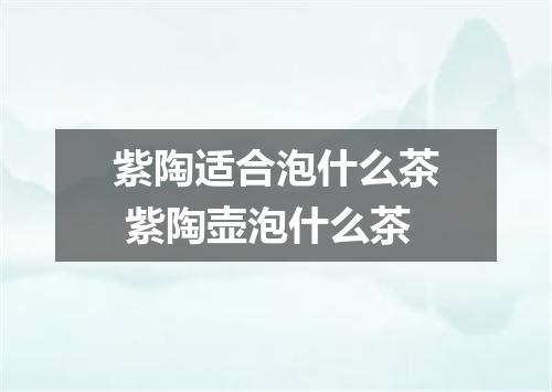 紫陶适合泡什么茶 紫陶壶泡什么茶