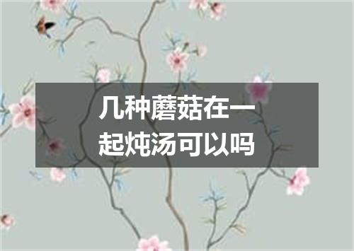 几种蘑菇在一起炖汤可以吗