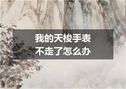 我的天梭手表不走了怎么办