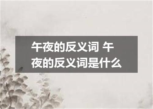 午夜的反义词 午夜的反义词是什么