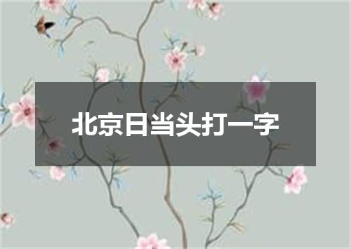 北京日当头打一字