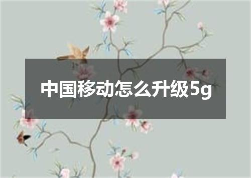 中国移动怎么升级5g