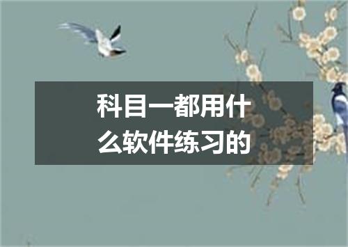 科目一都用什么软件练习的