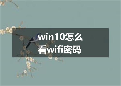 win10怎么看wifi密码