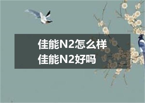 佳能N2怎么样佳能N2好吗