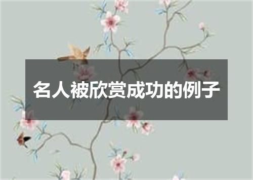 名人被欣赏成功的例子