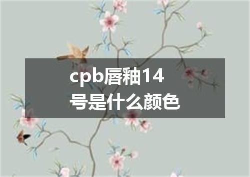 cpb唇釉14号是什么颜色