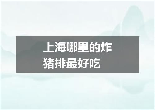 上海哪里的炸猪排最好吃