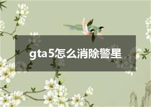 gta5怎么消除警星