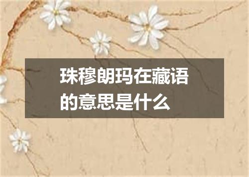 珠穆朗玛在藏语的意思是什么