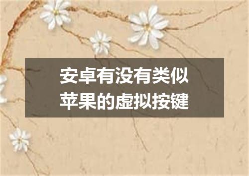 安卓有没有类似苹果的虚拟按键