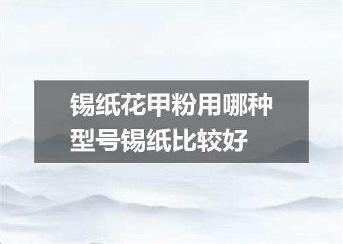 锡纸花甲粉用哪种型号锡纸比较好