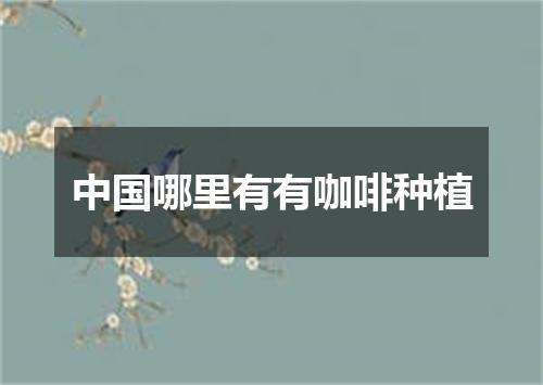 中国哪里有有咖啡种植