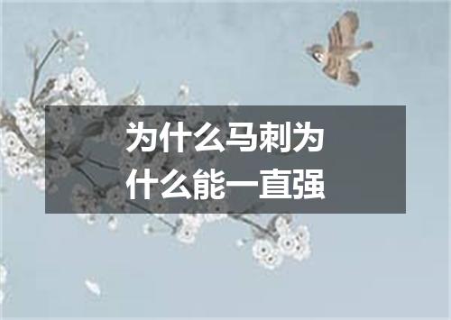 为什么马刺为什么能一直强