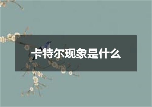 卡特尔现象是什么