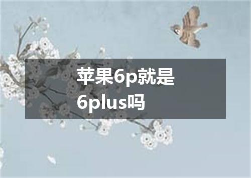 苹果6p就是6plus吗