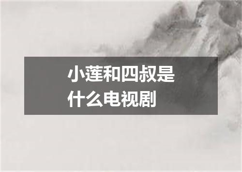 小莲和四叔是什么电视剧