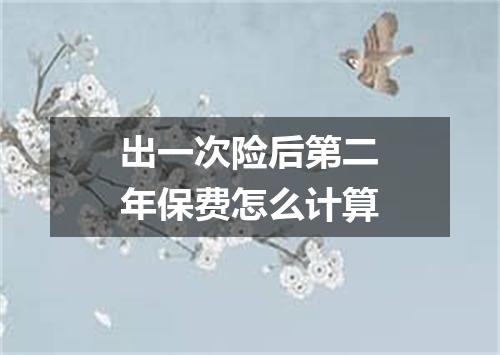 出一次险后第二年保费怎么计算