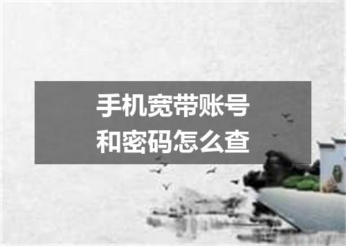手机宽带账号和密码怎么查