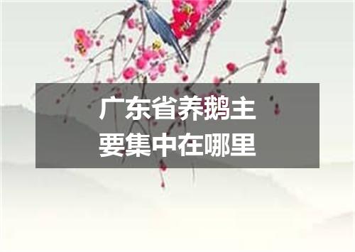 广东省养鹅主要集中在哪里