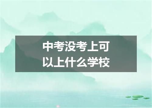 中考没考上可以上什么学校