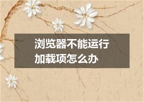 浏览器不能运行加载项怎么办