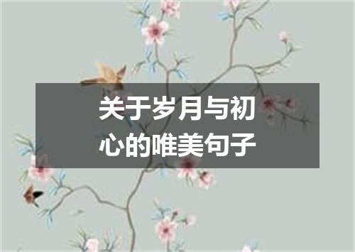 关于岁月与初心的唯美句子