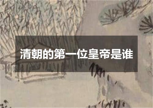 清朝的第一位皇帝是谁