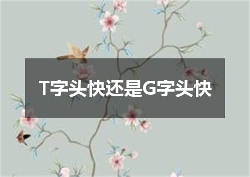 T字头快还是G字头快
