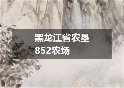 黑龙江省农垦852农场