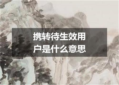 携转待生效用户是什么意思