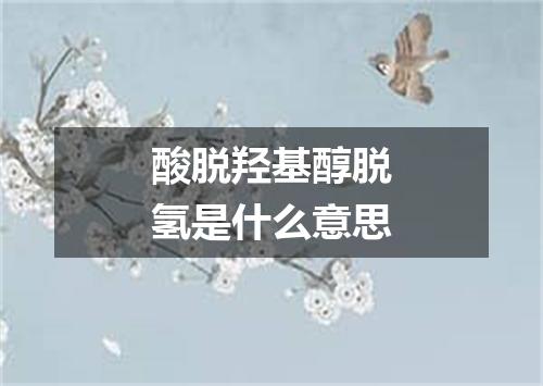 酸脱羟基醇脱氢是什么意思