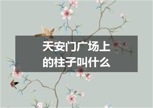 天安门广场上的柱子叫什么