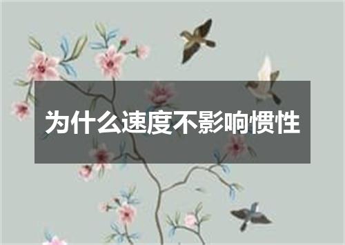 为什么速度不影响惯性