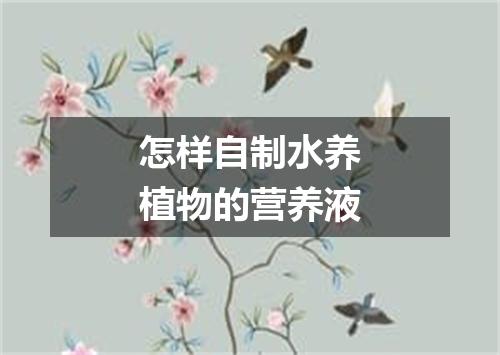 怎样自制水养植物的营养液