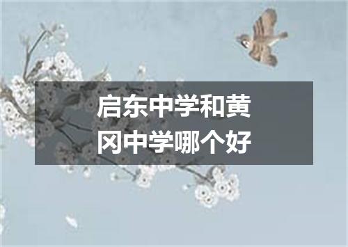 启东中学和黄冈中学哪个好