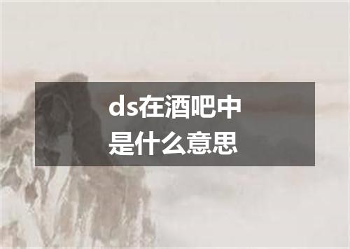 ds在酒吧中是什么意思