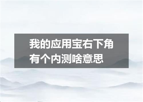 我的应用宝右下角有个内测啥意思