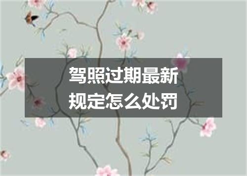 驾照过期最新规定怎么处罚