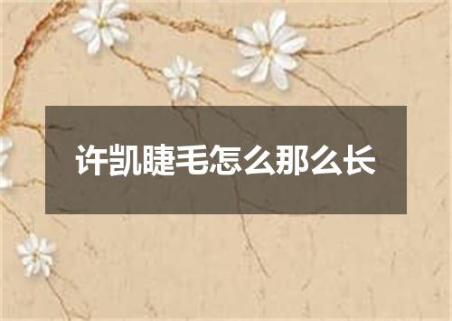 许凯睫毛怎么那么长