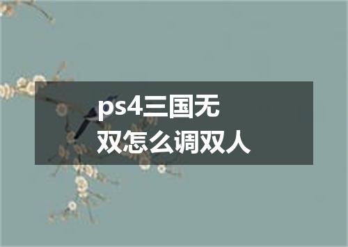 ps4三国无双怎么调双人
