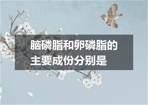 脑磷脂和卵磷脂的主要成份分别是