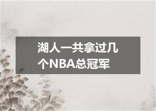 湖人一共拿过几个NBA总冠军