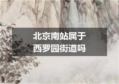 北京南站属于西罗园街道吗