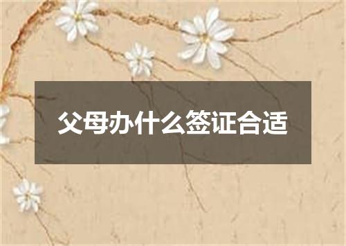 父母办什么签证合适